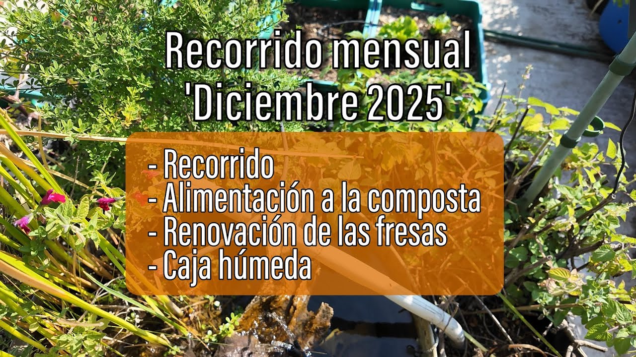 Recorrido del huerto en diciembre, alimentación de composta, renovación de fresa y cámara húmeda