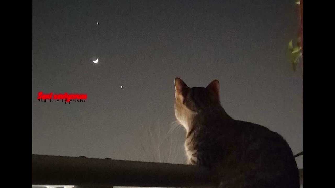  𝐀𝐥𝐲𝐚 𝐒𝐞𝐫𝐢𝐧 - 𝐆𝐮𝐫𝐛𝐞𝐭 𝐘𝐚𝐤𝐚𝐫 𝐀𝐝𝐚𝐦ı - (𝐎𝐥𝐝 𝐕𝐞𝐫𝐬𝐢𝐨𝐧)