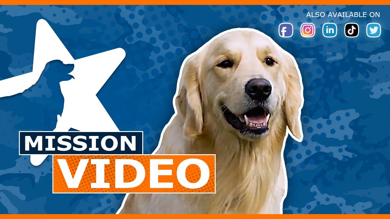 Watch our WCC Mission Video