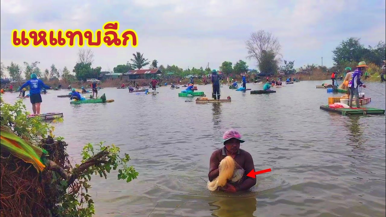ทอดแหจับปลาหาอยู่หากิน คุ้มเกินคุ้มกับบัตร100 หมานสุดยอดจริงๆ หาที่ไหนได้ ปลามีแต่ตัวสวยๆทั้งนั้น