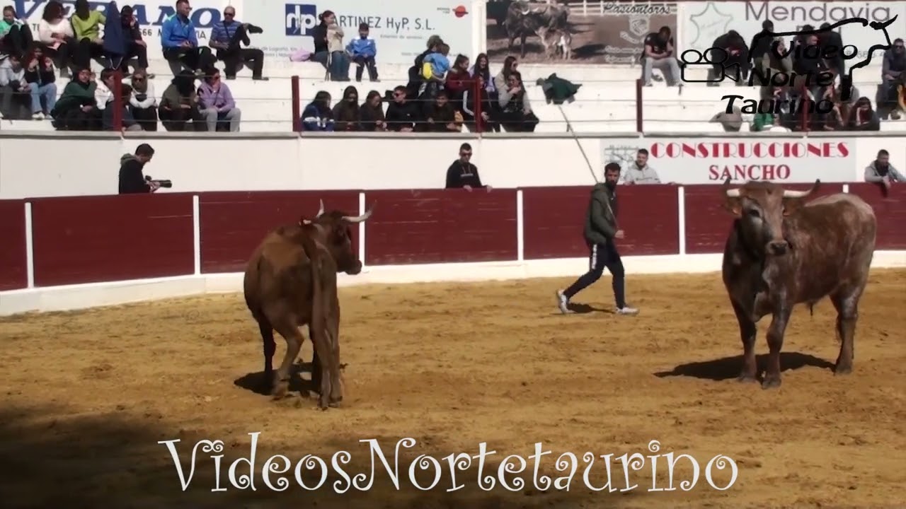 Mendavia (Navarra) 05-03-2023 Mañana Ganadería Eulogio Mateo