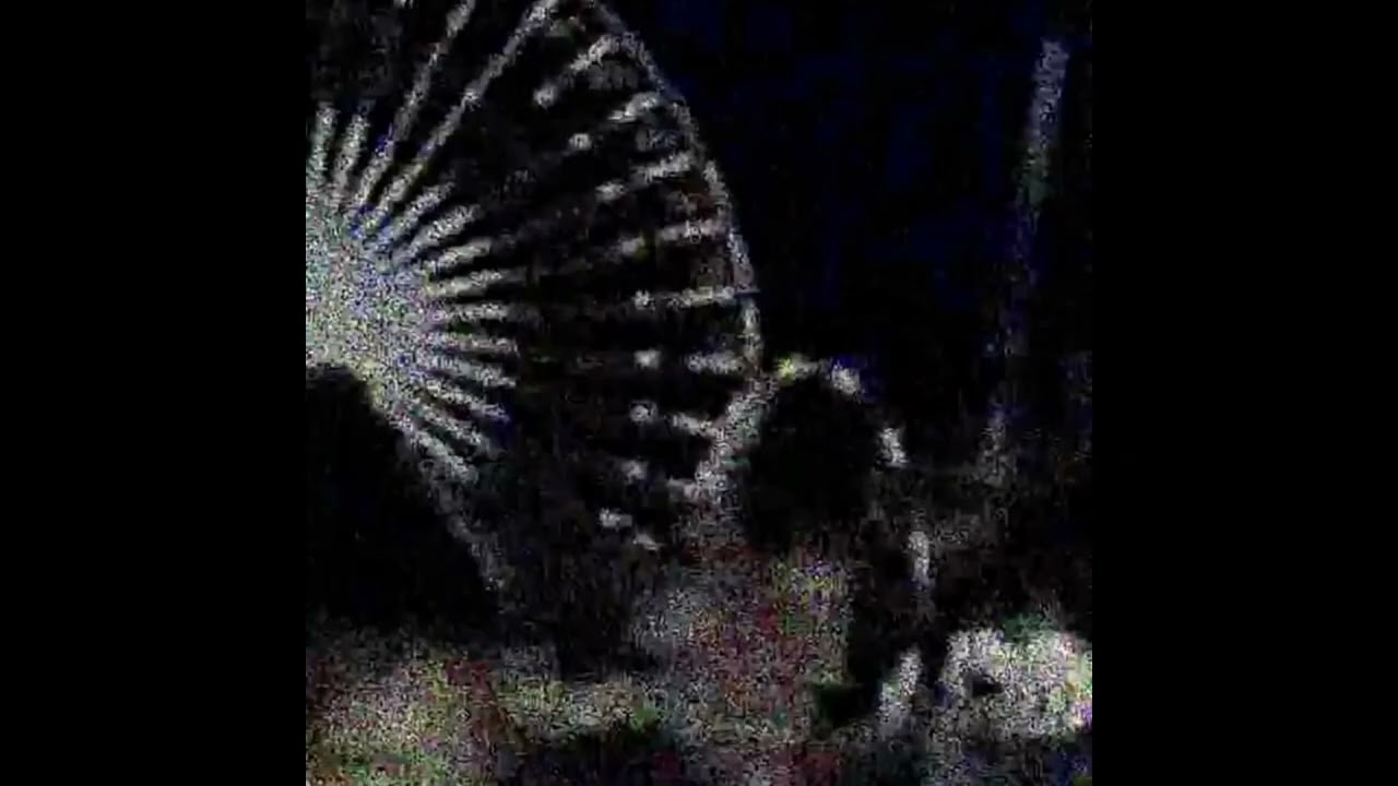 Sharp - DESTROY LONELY X YEAT TYPE BEAT