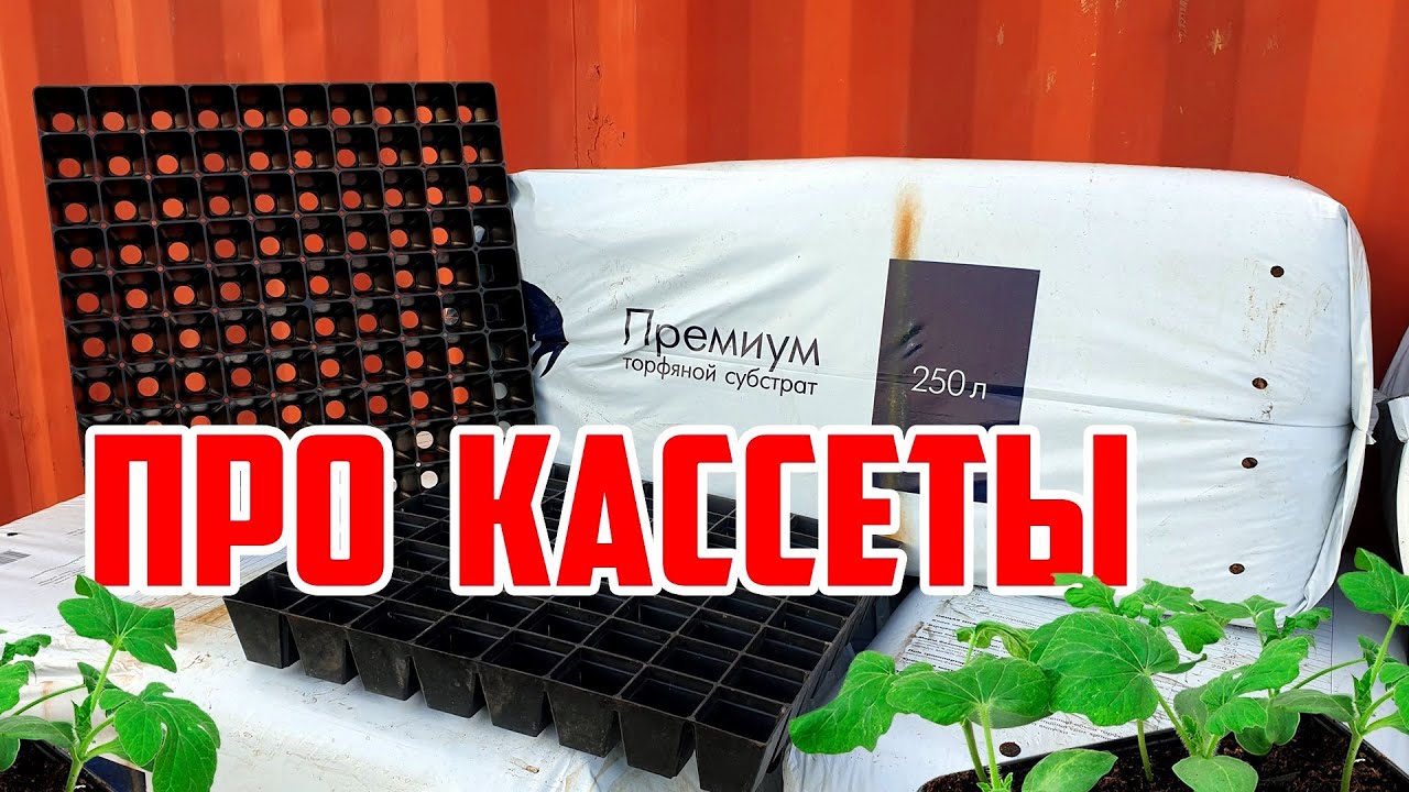 Про Кассеты 🌱🌱🌱