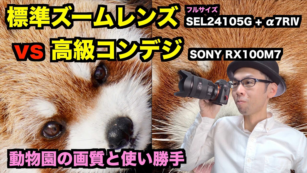 【動物園撮影】高級コンデジ VS フルサイズ標準ズームレンズ／画質を比較【RX100M7 vs SONY SEL24015G+α7RⅣ】#4K