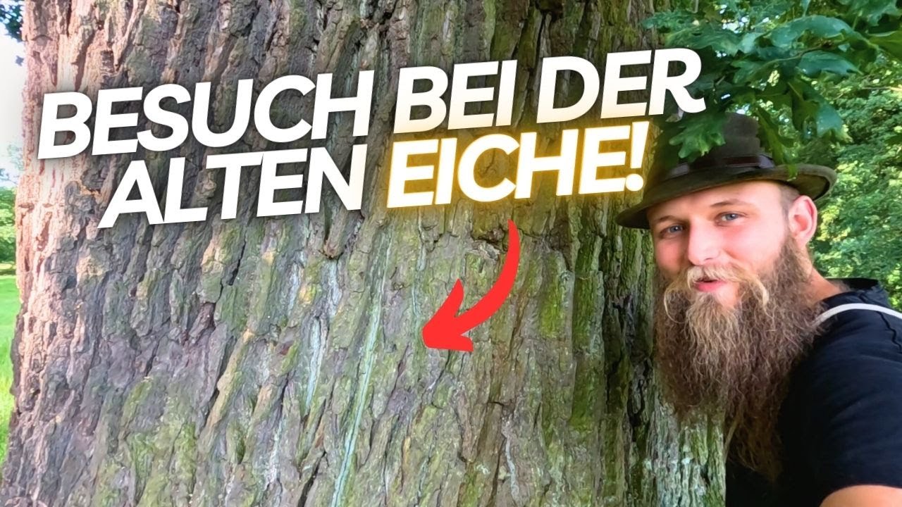 Die Vergessene Kunst des generationsübergreifenden Denkens