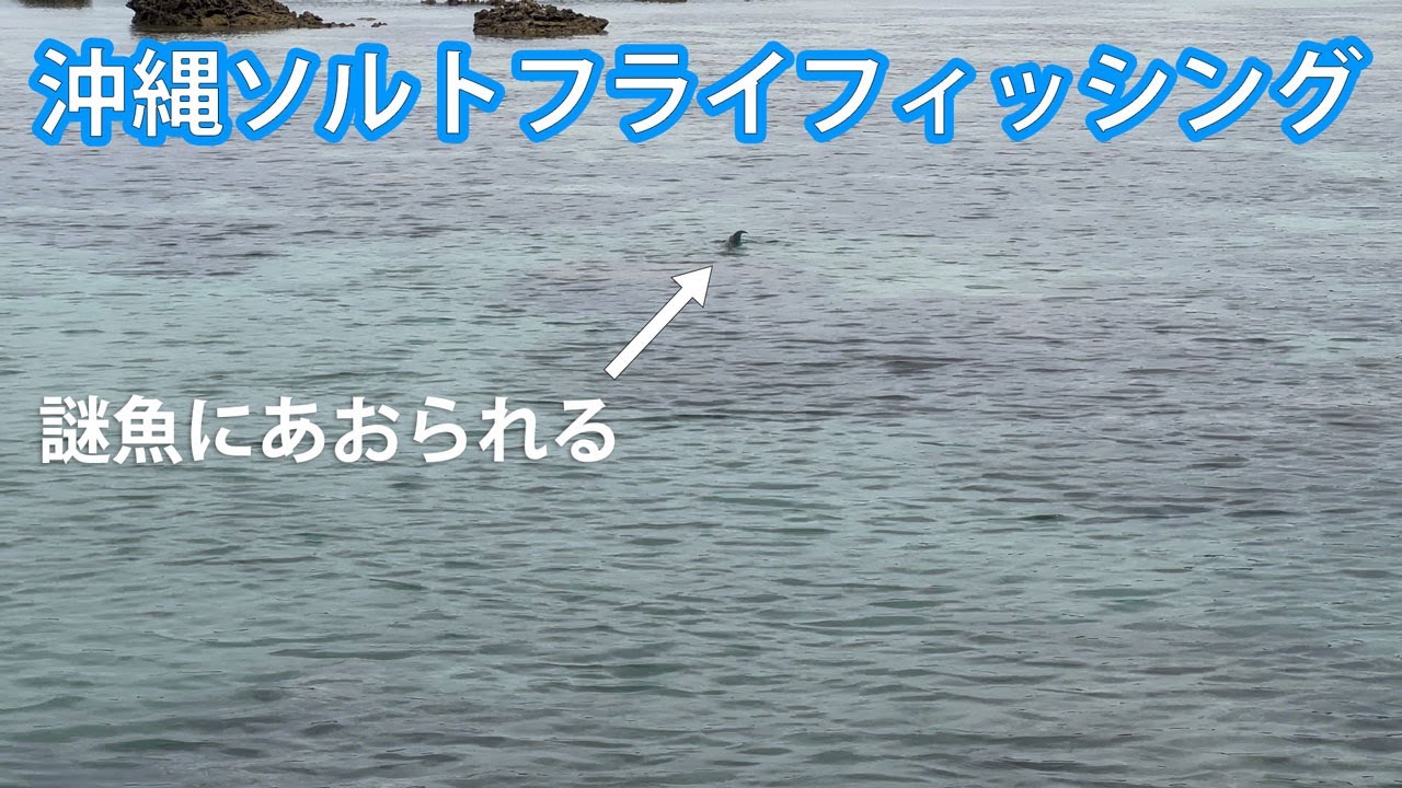 【フライフィッシング】沖縄フラットリサーチ - その４
