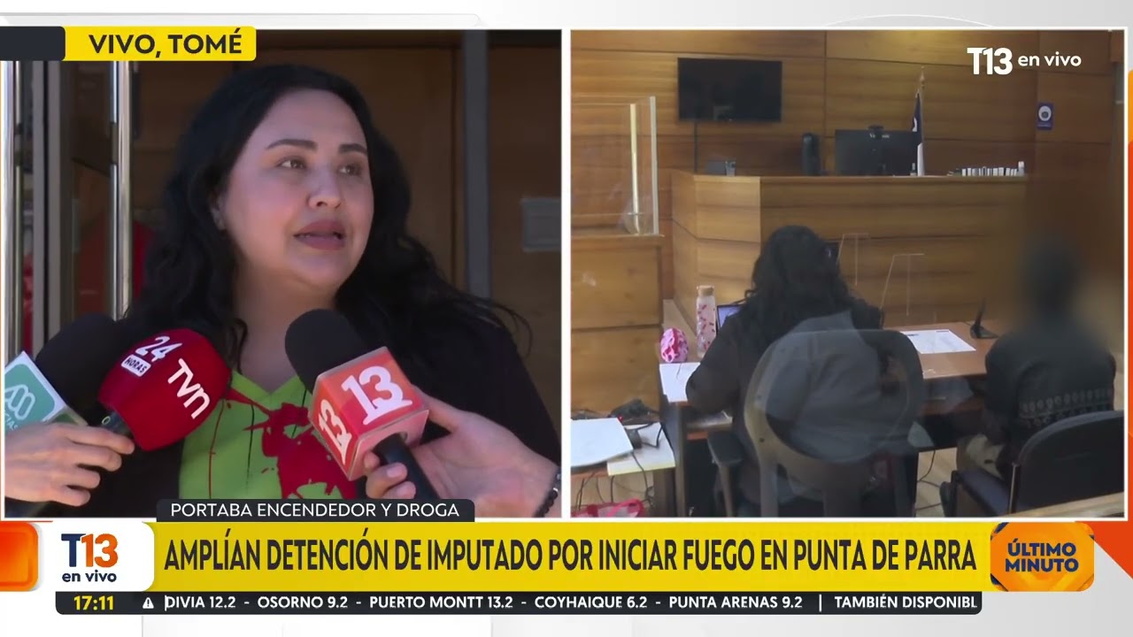 Amplian detención de imputado por iniciar fuego en Punta de Parra