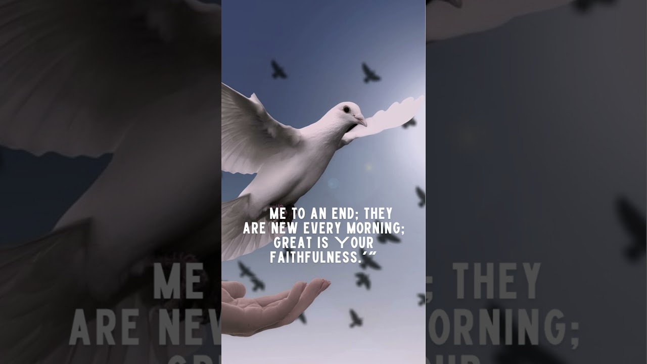 Gods Mercies are new each day#mercy #godsmercy #christianfaith