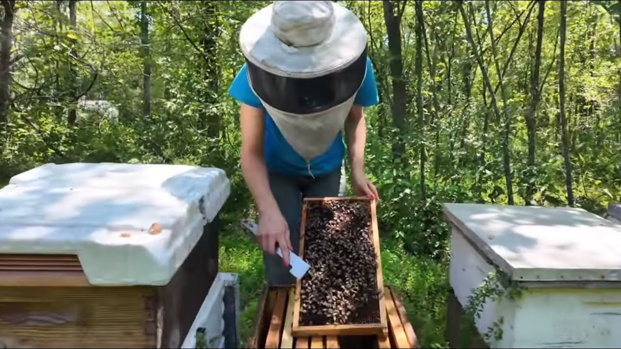 Growing from 2 to 20 - Part 11 🐝