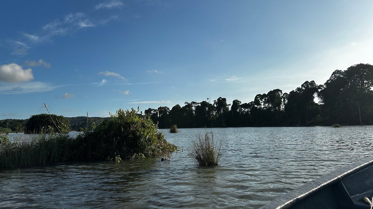 Sepayang Toman/Sebarau Hunting | Kumpao Trip!