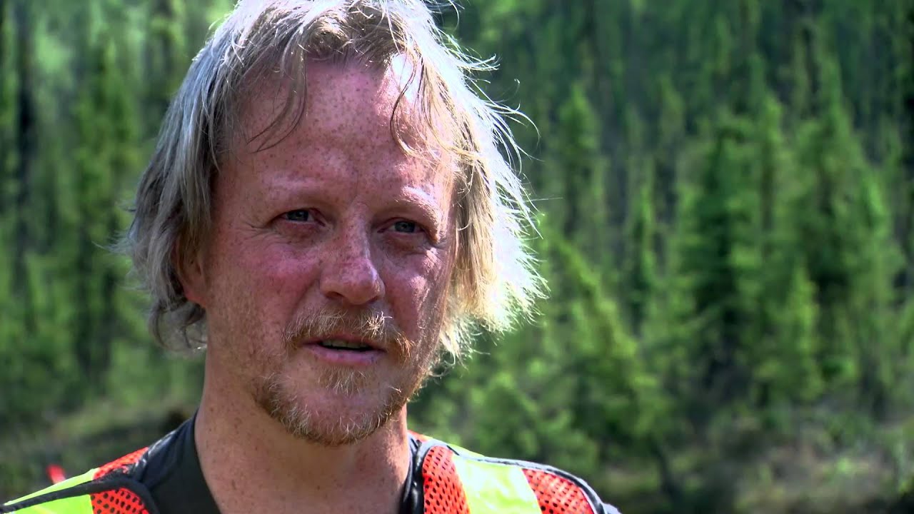 Юкон Голд - Сад Берни