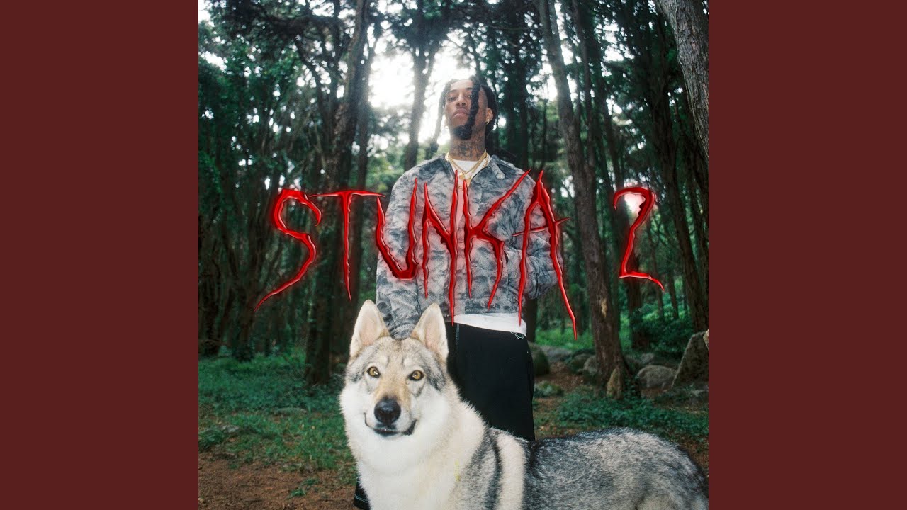 Stunka2