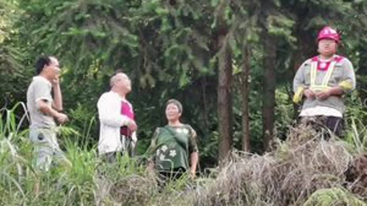 白竹山散散步：沿途拍下的风景图片抖一抖留念保存欣赏。