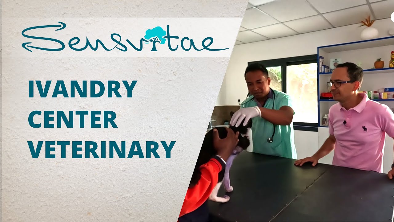 Ivandry Center Veterinary, une clinique vétérinaire à Antananarivo pleine d'avenir !