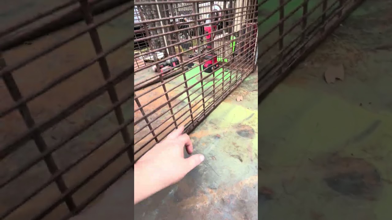 @finleyriverkennels  Refurbishing DogBox  Part 1 