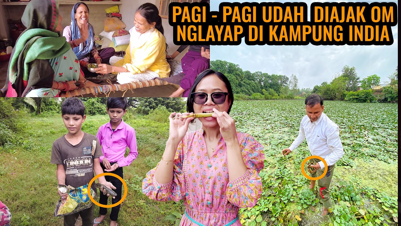 SERUNYA KEGIATAN PAGIKU DI KAMPUNG INDIA ‼️ NGAMBIL TEBU DAN BUAH MUSIM DINGIN SINGHARA