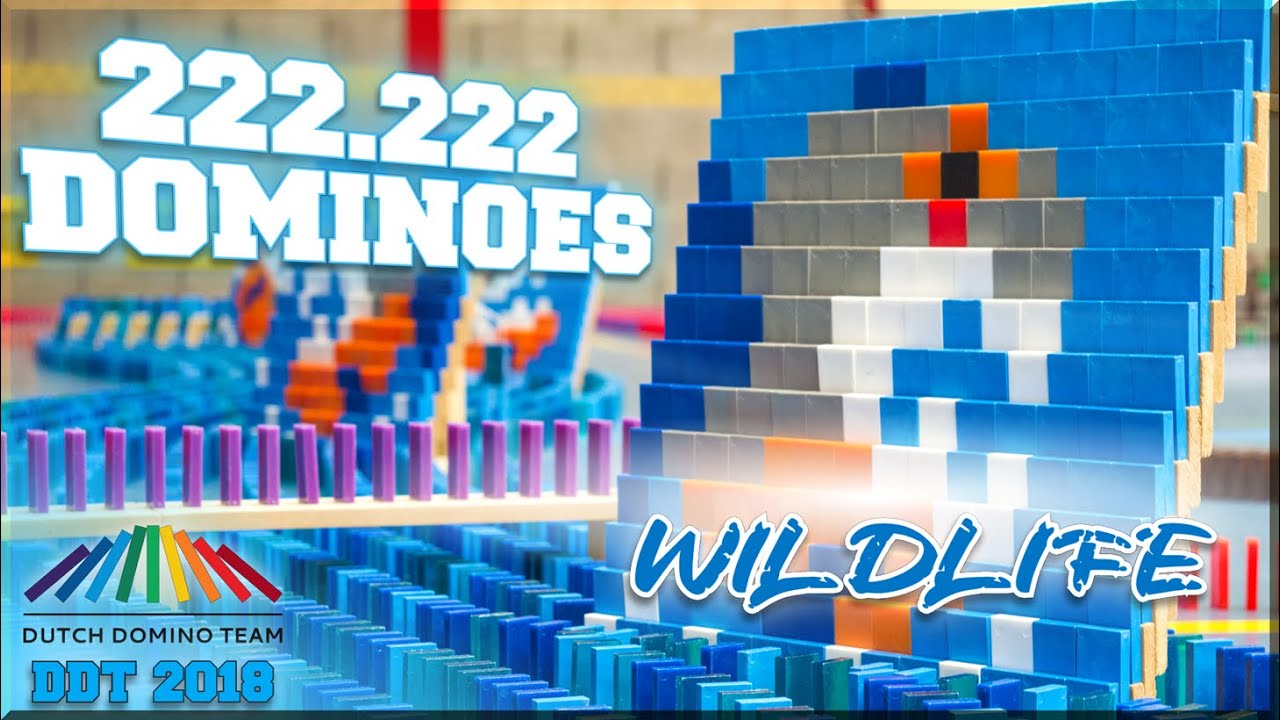 222.222 DOMINOES - DDT 2018 - WILDLIFE