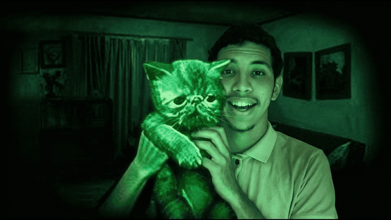 GANHEI UM GATINHOO ! NO I'M NOT A HUMAN - Parte 2