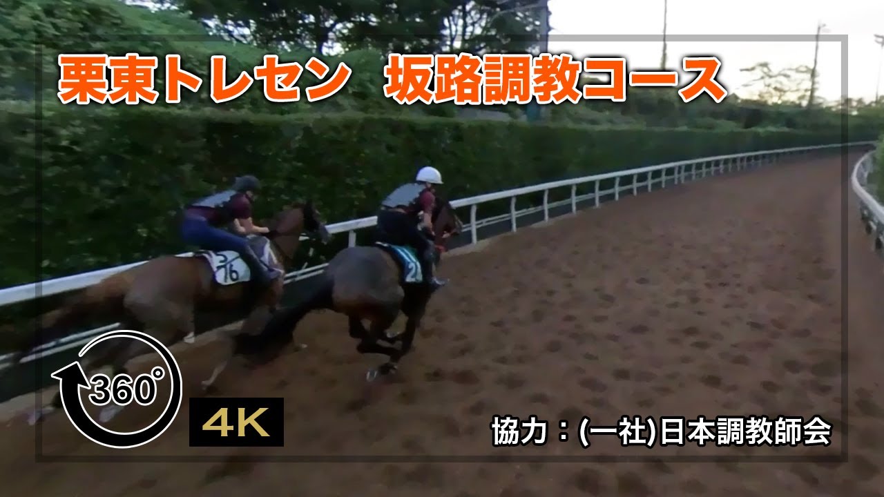 【栗東トレセン】坂路調教コース | JRA公式