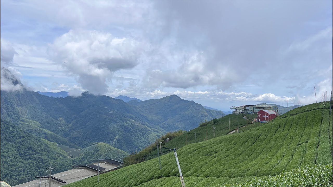 每天一壺好茶～華岡&翠峰    訂購專線：0962 039 999