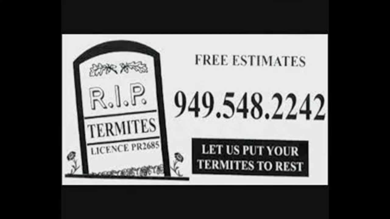 Termite Control Costa Mesa | 949-548-2242 | Huntington Beach | Newport Beach | Balboa Island