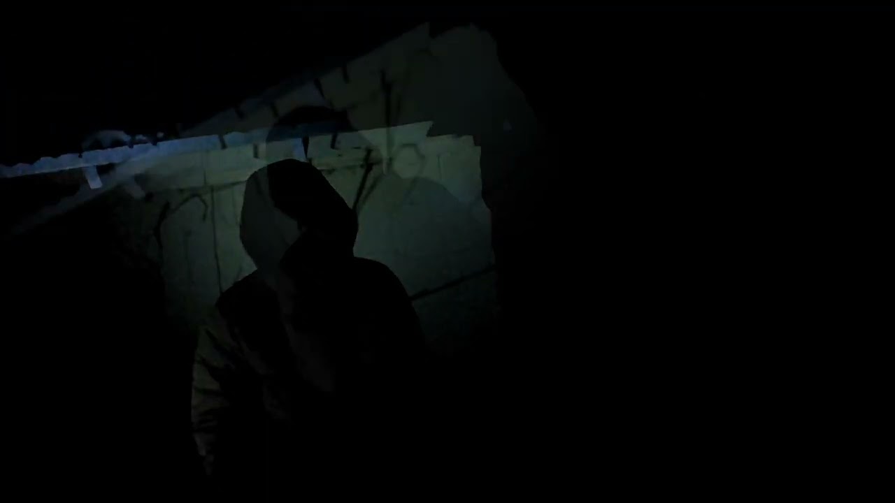 Steak out RLSVinykilla