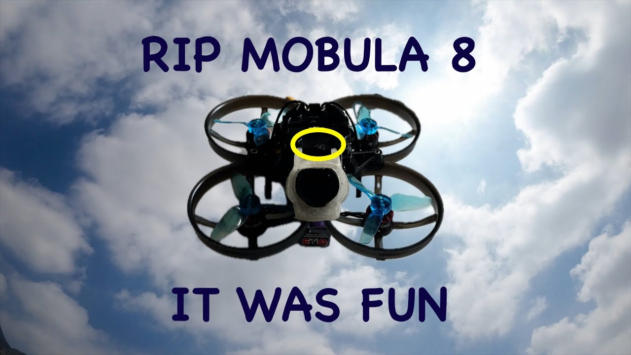 RIP MOBULA 8