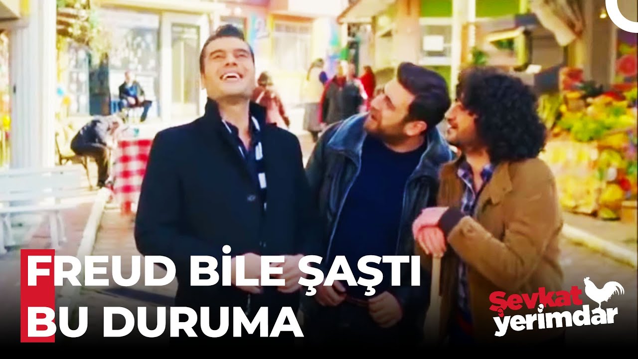 En Güzel Rüyamdayım Uyandırmayın Beni - Şevkat Yerimdar