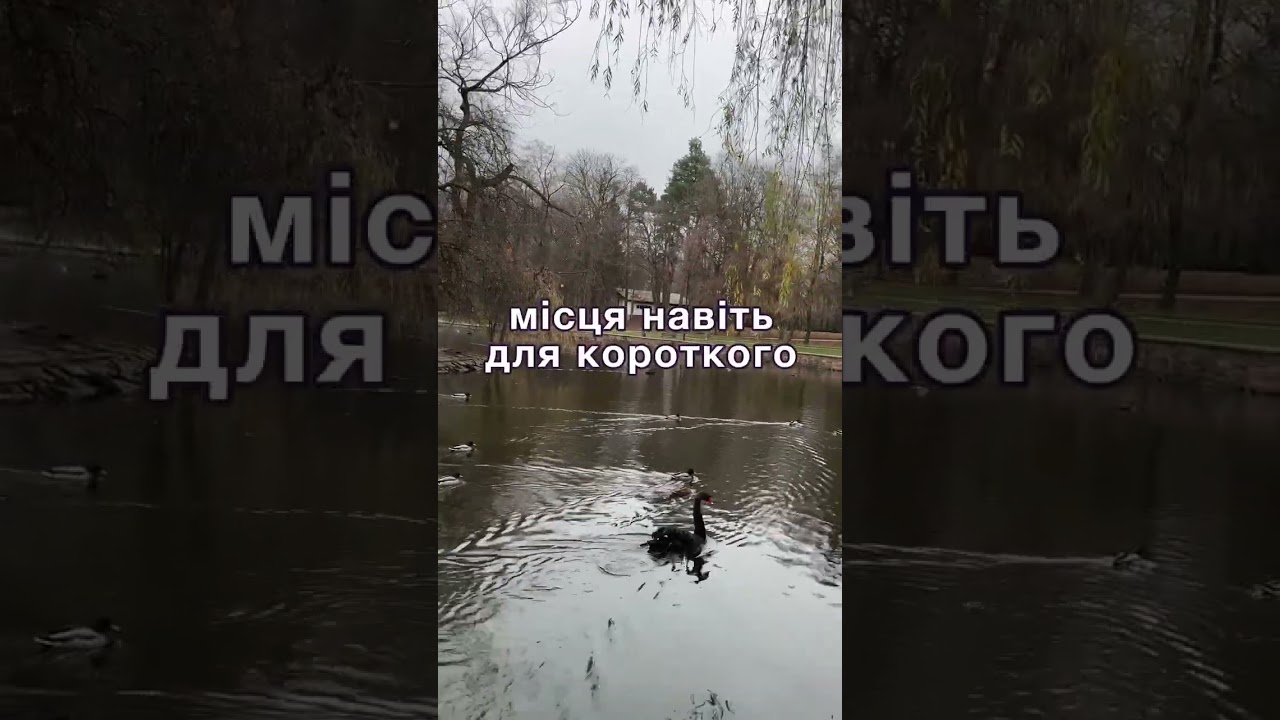 Нелюбимий старший син
