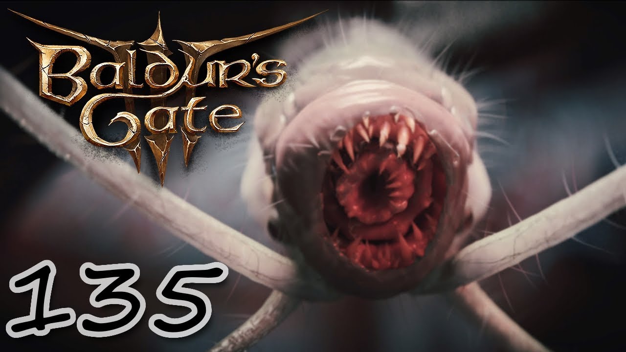 Koop im RPG Himmel! Baldurs Gate 3 mit Faremis - Part 135