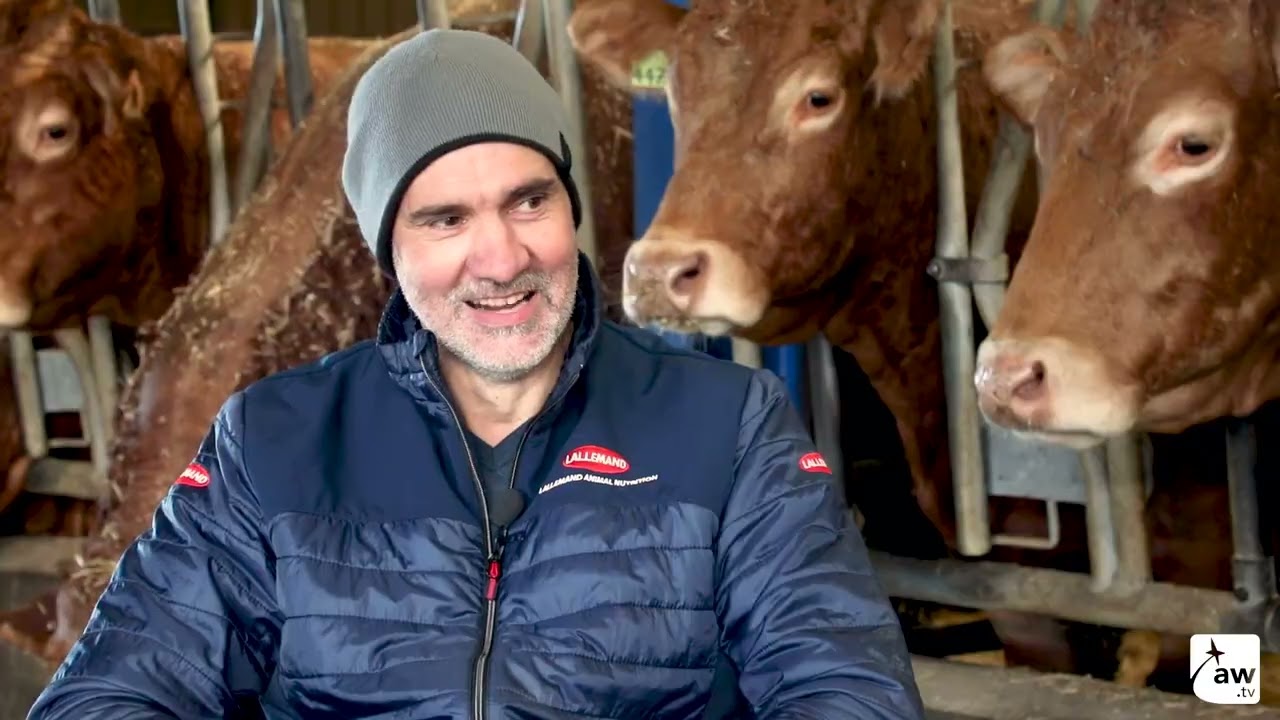 Rencontre avec Olivier Lasternas, éleveur de vaches limousines à Saint-Cyr-les-Champagne