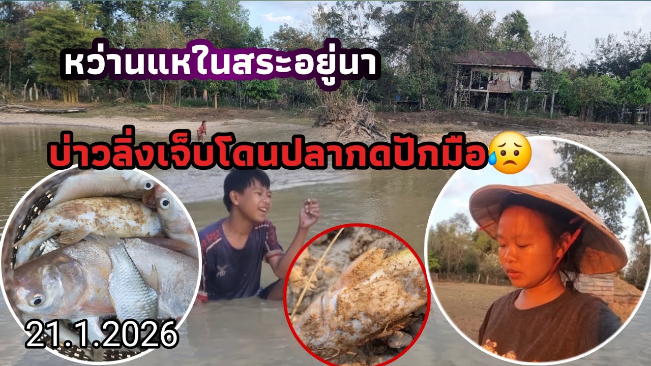 ตึกปลากับบ่าวลิ่งโดนปลากดปักมือ😥