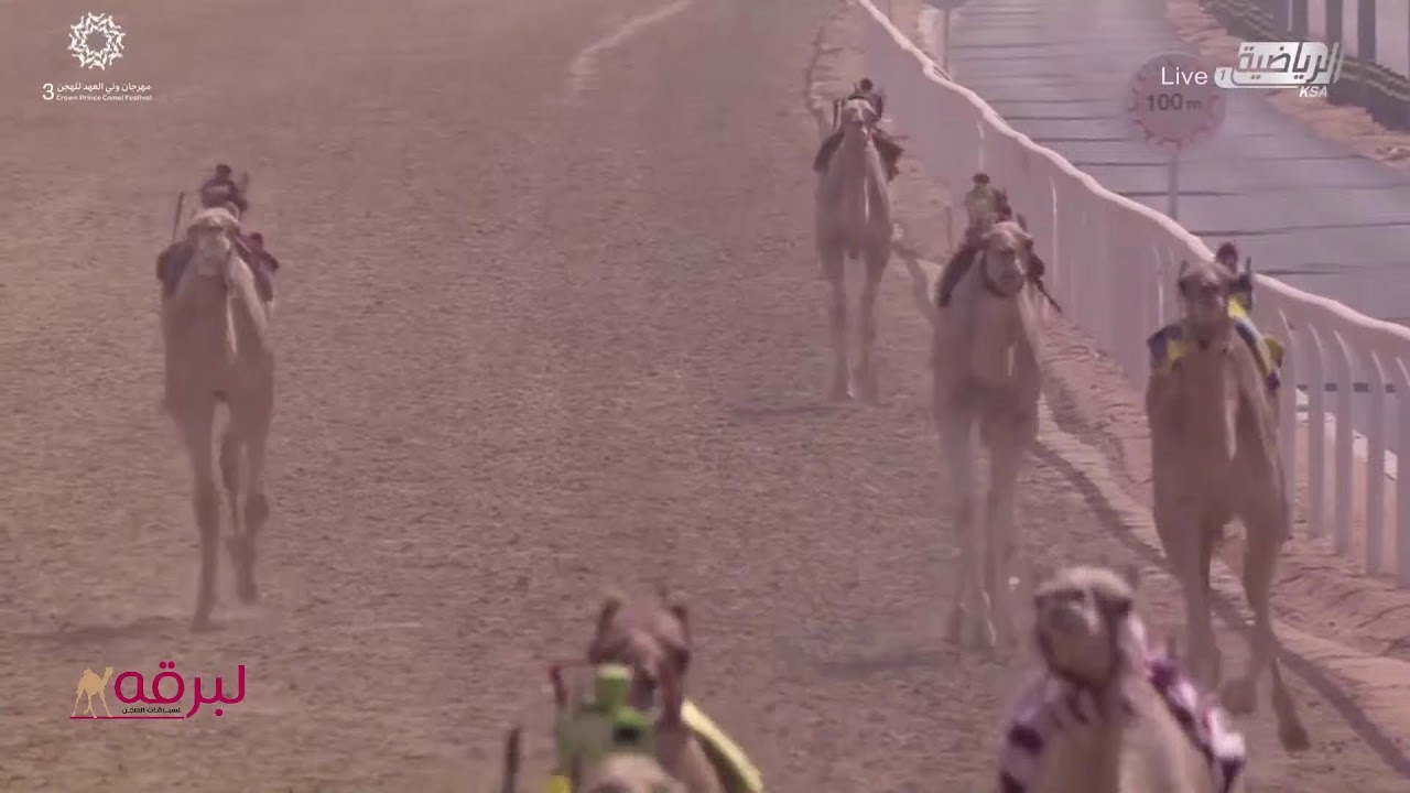 موقع لبرقه | بث مباشر... لسباق الحقايق (أشواط عامة) مهرجان ولي العهد بميدان الطائف 2-9-2021 ص