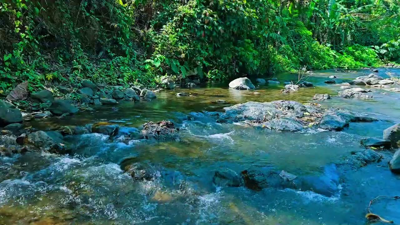 Natural Sounds And Waterfall Sounds For Meditation, Calm, Deep Sleep, Relaxation #041