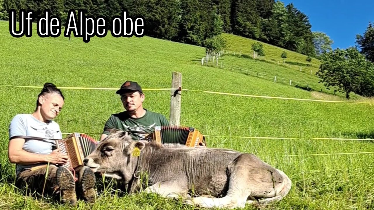 s'Chochä mit Schwyzerörgeli - Uf de Alpe obe  🇨🇭