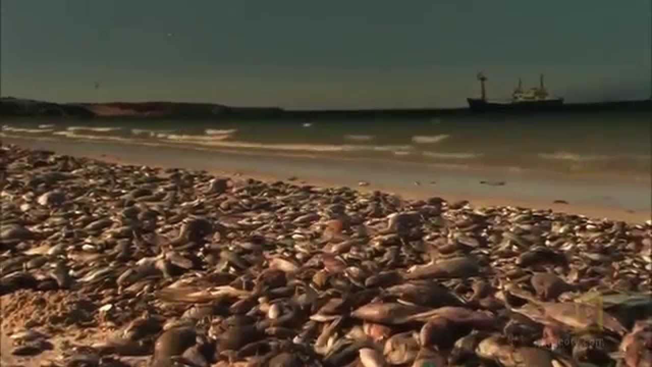 HD National geographic   Aftermath  When the Earth Stops Spinning