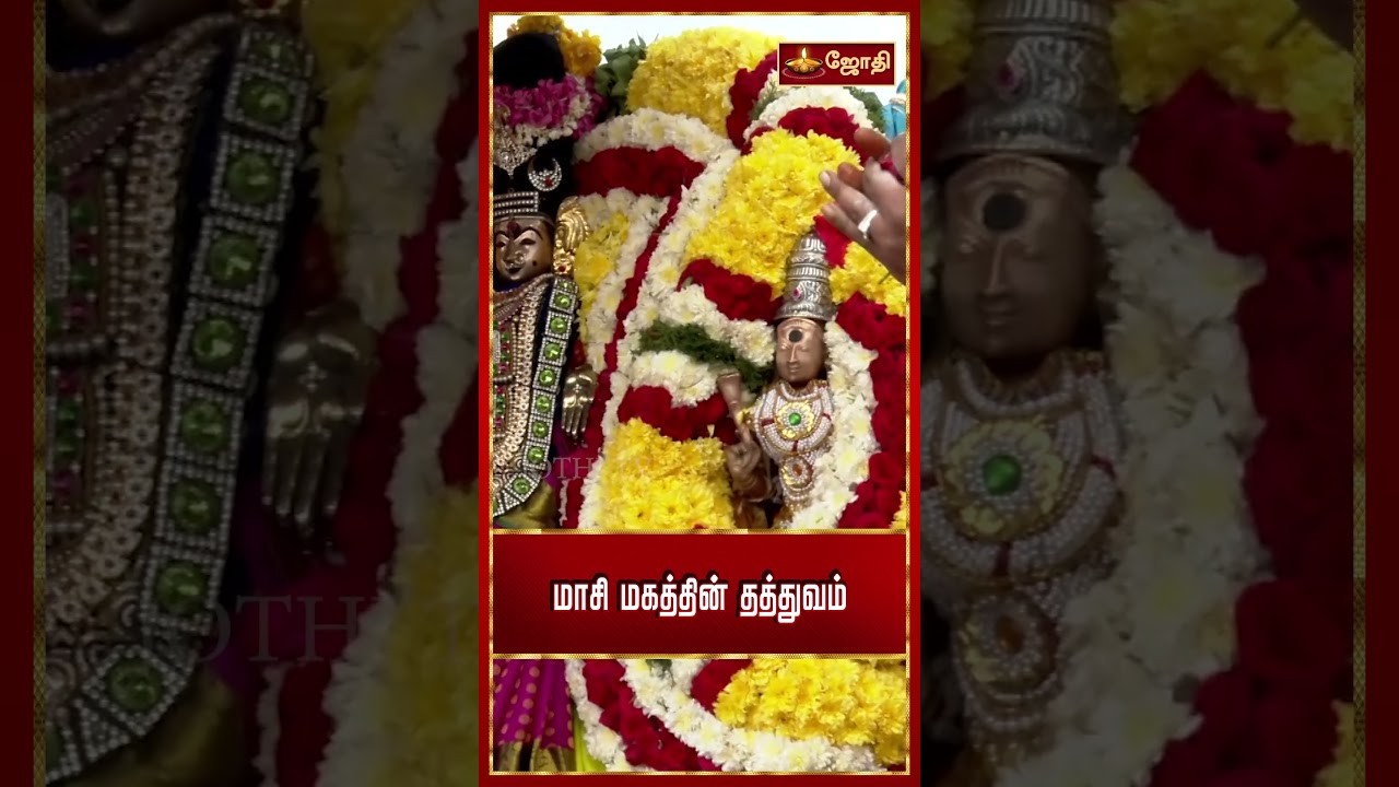 மாசிமகம் திருவிழா| Maasi Magam in 2024 | Mahamaham | Masi Magham |Jothitv
