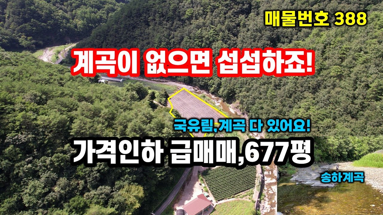 경북땅 계곡땅 가격인하 급매, 별천지 입니당^^  farming, 체류형쉼터, 농막~
