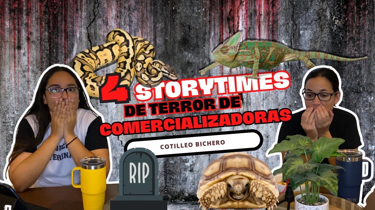 T2EP04 STORYTIME de TERROR 😨 se adelantaron las comercializadoras al DÍA de MUERTOS 👻