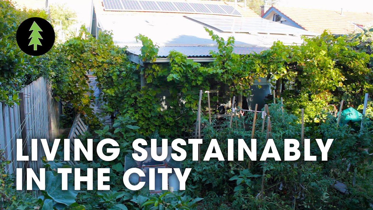 Sustainable City Living on 1/10th of an Acre | Degrowth in the Suburbs