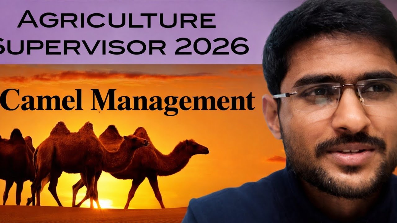 Camel management one shot by Aviral sir #camel #camelculture#animalhusbandry #agriculturesupervisor 