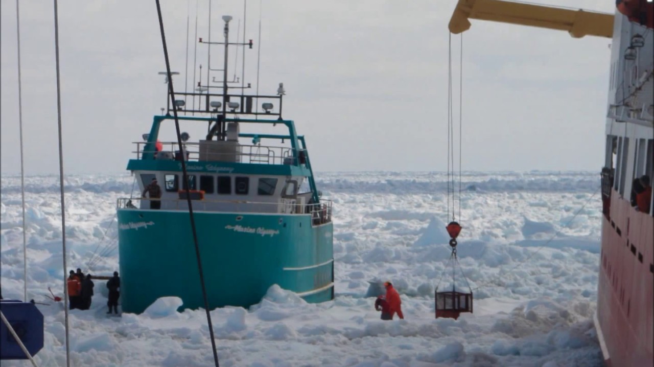 (Rare Footage) Coast Guard To The Rescue - Fishing Vessel Hull Patched In Pack Ice
