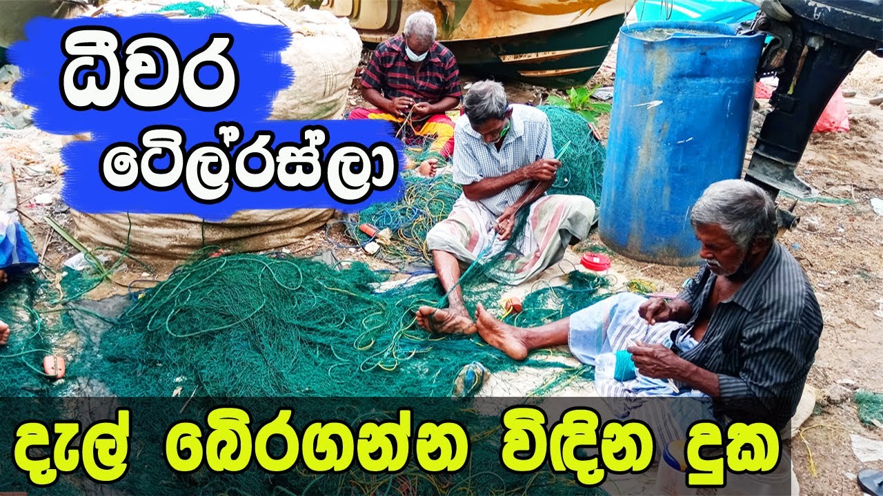 ධීවර ටේලර්ස්ලා දැල් බේරගන්න විදින දුක