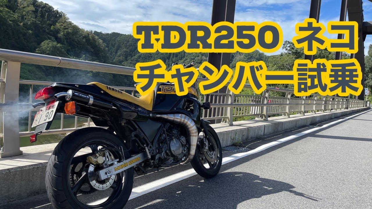 TDR250 ネコチャンバー試乗
