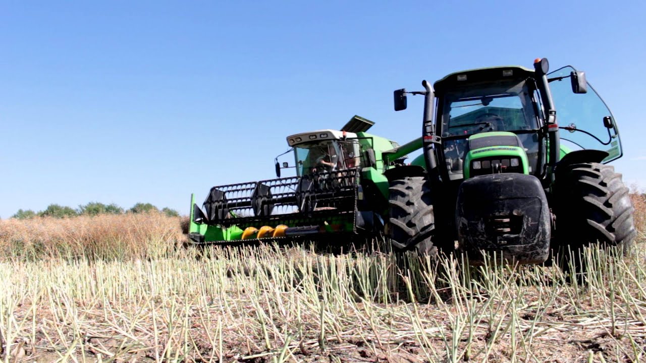 Żniwa Rzepakowe 2015 - Kęsowo