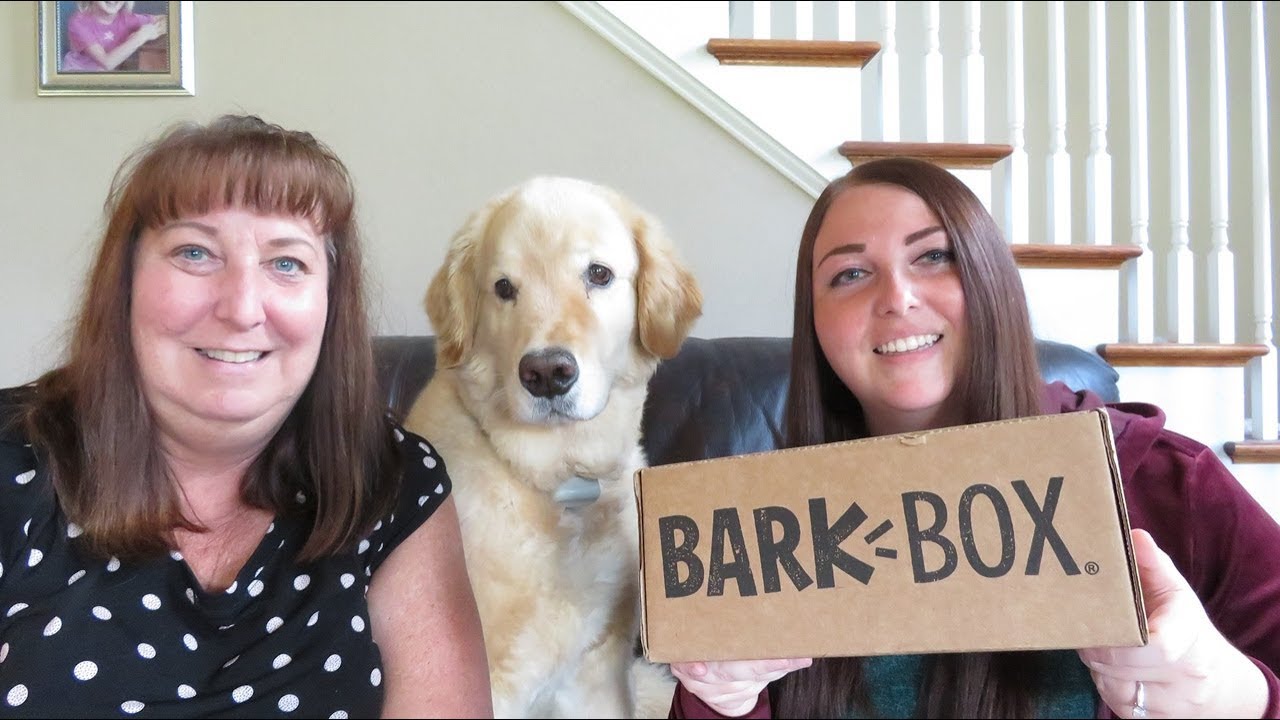 Bark Box June 2019