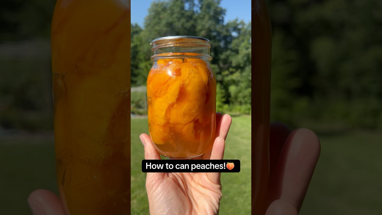 HOW TO CAN PEACHES for long term food preservation!🍑   #canning #peaches #homestead #easy