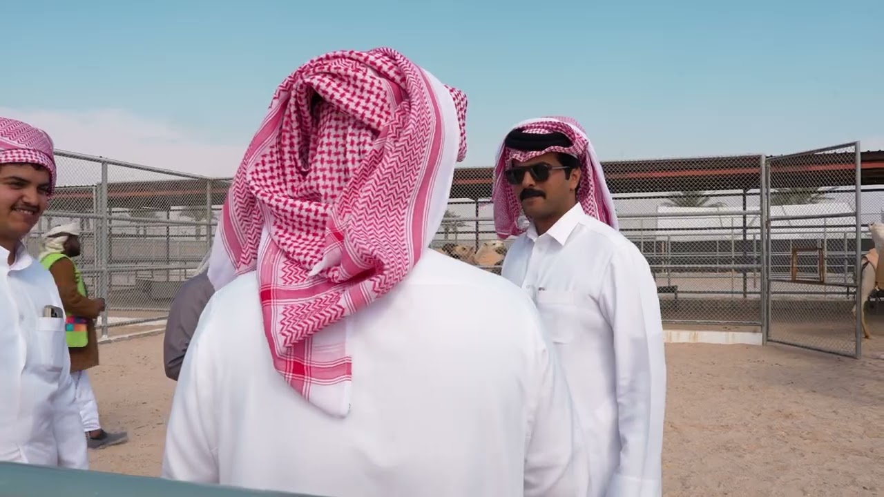 أغنية مهرجان قطر للإبل  ٢٠٢٦