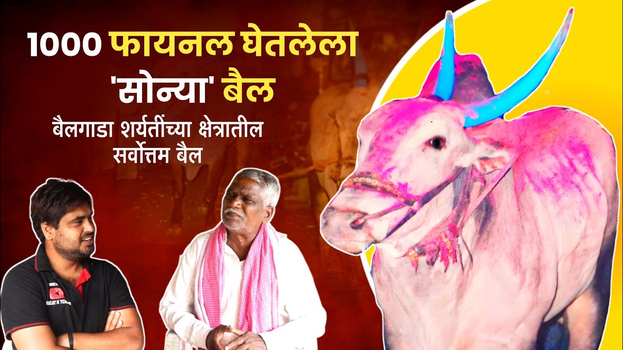 आठवणीतील जिंतीचा 'सोन्या'| Athavanitil Jinticha 'sonya'