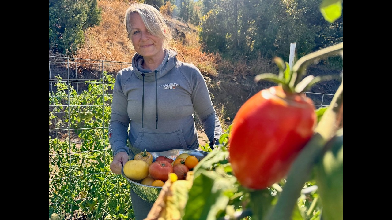 Our Last Tomato Harvest… and a Full Day of Sauce & Juice Making!